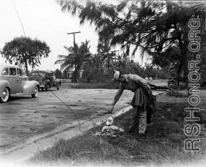 A GI inspects a fish driven ashore by wind and water, most likely in Florida (based on apparent Florida license plate), during WWII.