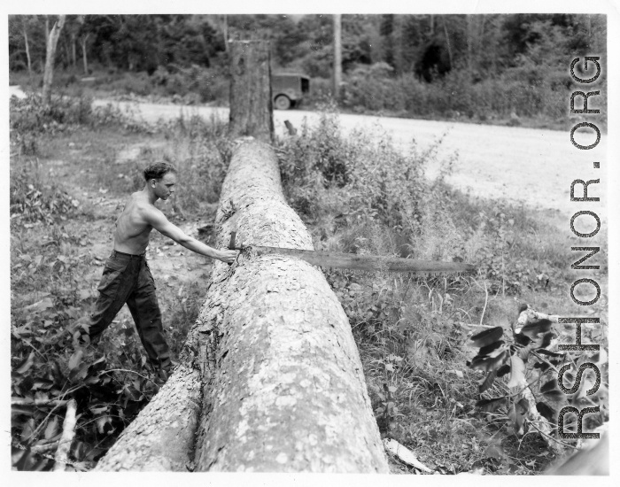 GIs cutting bucking downed trees in Burma for lumber mill.  During WWII.  797th Engineer Forestry Company.