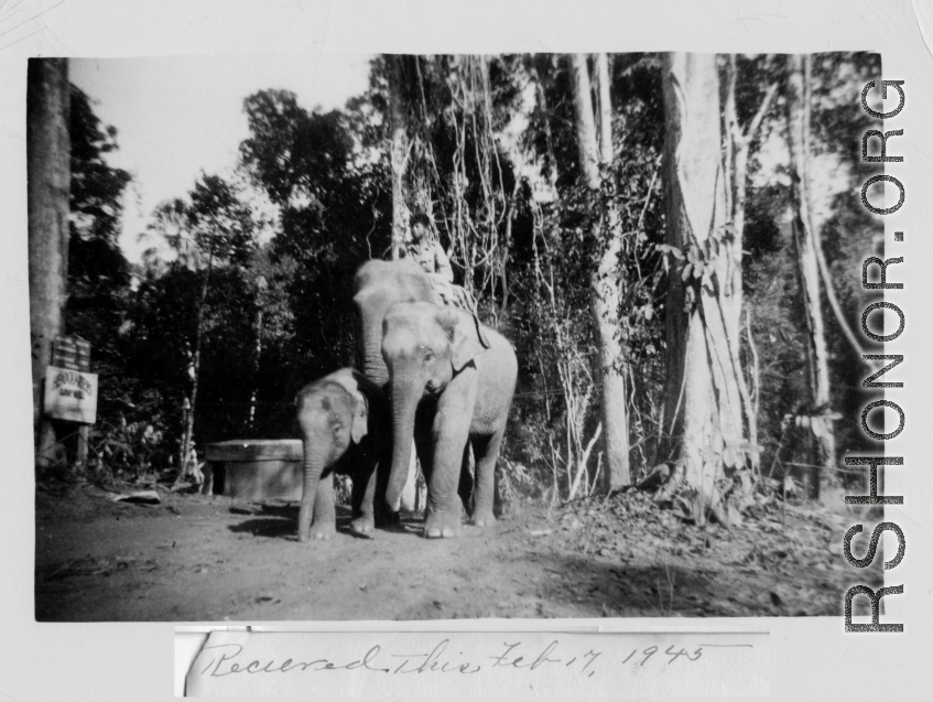Local people in Burma near the 797th Engineer Forestry Company--men riding elephants, assisting in logging in some cases. Received February 17, 1945.  During WWII.