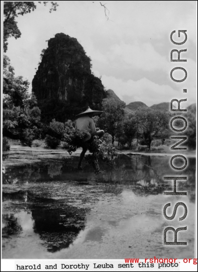 A Chinese man fishes from upon a narrow branch over a pond, with a karst peak in the background, in SW China during WWII.