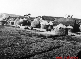 Village in Yunnan province, China, with grass-thatched houses. During WWII.