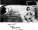 B-24 "Miss Beryl", #44-40832, during WWII.  Photo from Earl Zepp,  775th EPDC China Detachment, 1945.