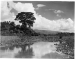 Local scenery in China: A pond at Yangkai. During WWII.