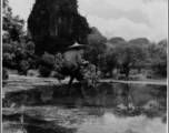 A Chinese man fishes from upon a narrow branch over a pond, with a karst peak in the background, in SW China during WWII.
